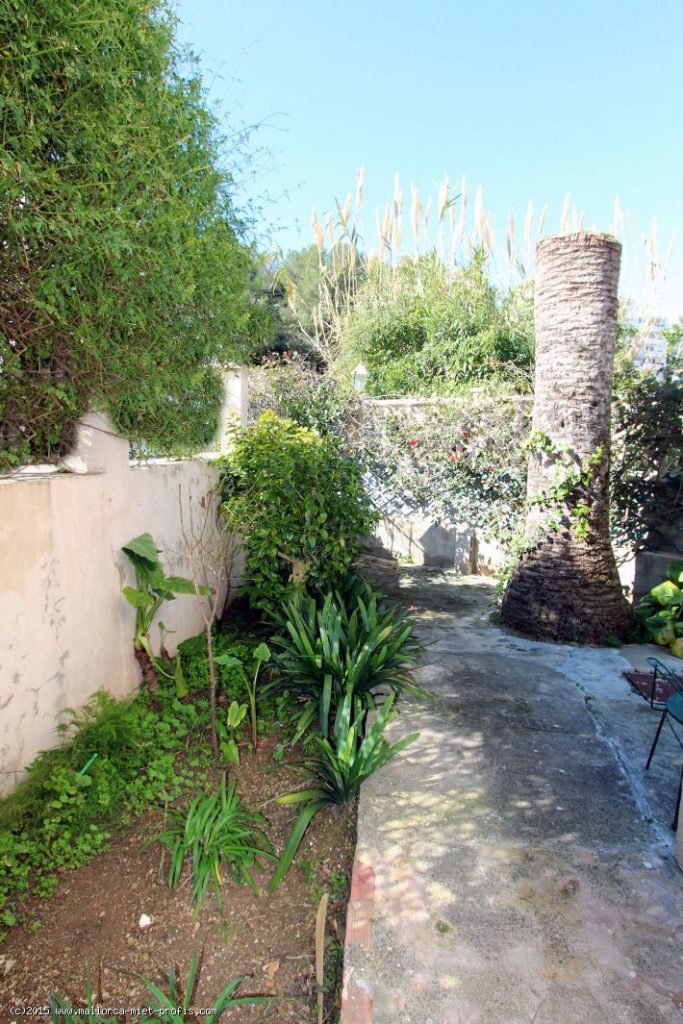 Ref 1634; To renovate: house with 2 apartments, with garden and 2 garages for sale in El Terreno