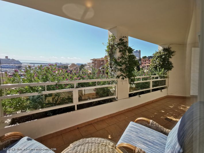 Ref 1710; Rymlig takvåning med terrass och havsutsikt i Palma El Terreno till salu