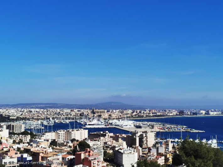 Ref 1551; Majestic castle with park garden and spectacular sea and cathedral views in Palma for sale