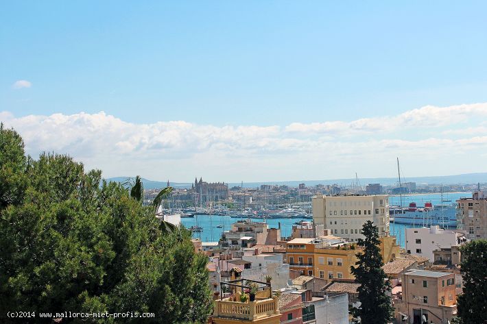 Ref 1547; Spektakulär takvåning med havsutsikt i det bohemiska distriktet El Terreno till salu