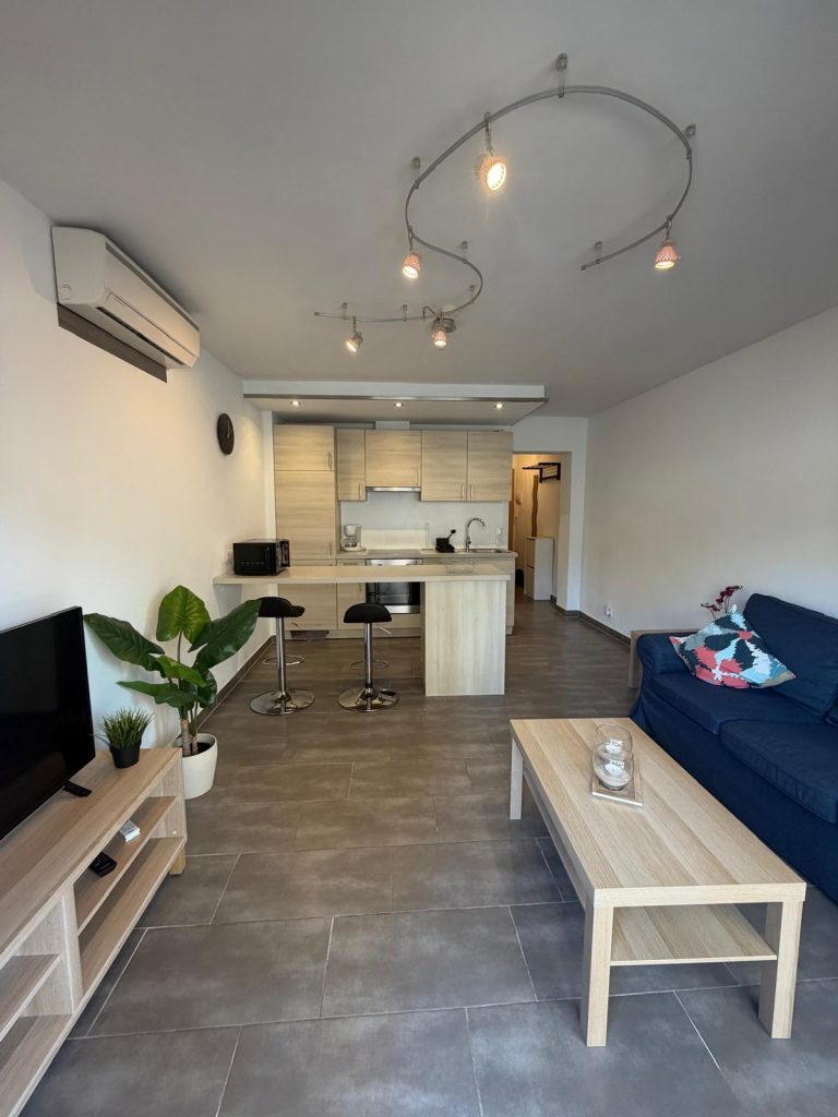 Ref 1489 ; Appartement meublé avec terrasse à El Terreno à louer